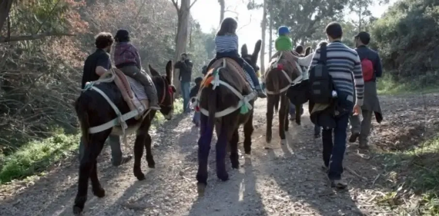 Cientistas, micróbios e ar livre