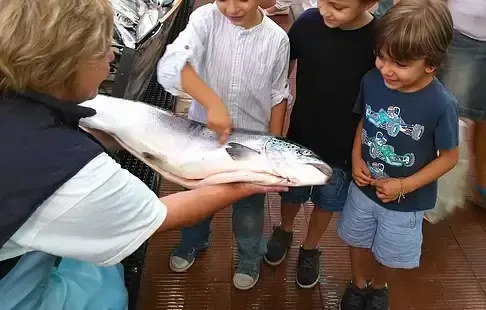 E se o médico receitasse brincadeira?